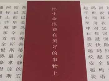 ֻ뺯ع ֹǰȫ黳
