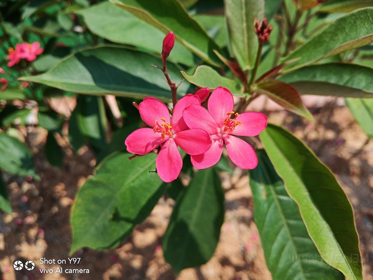 �鶯ˮ����+�������