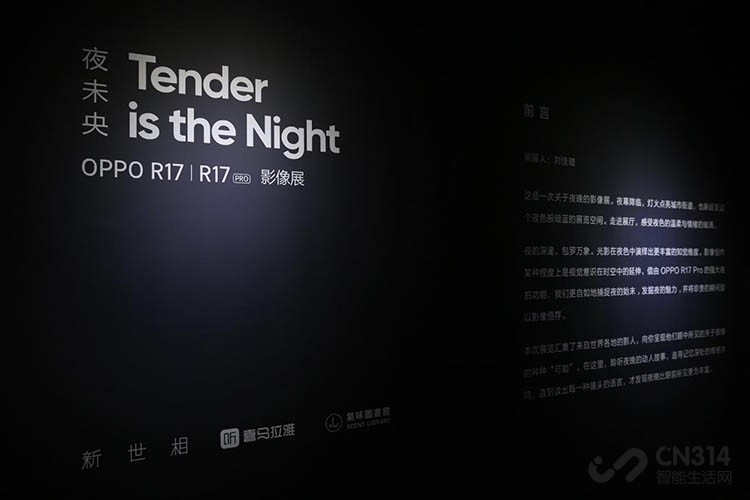 OPPO夜未央影像展:观影呈现“夜色温柔” OPPO夜未央影像展:观影呈现“夜色温柔”