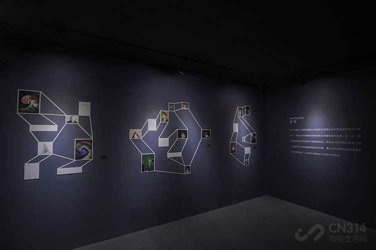 OPPO夜未央影像展:观影呈现“夜色温柔” OPPO夜未央影像展:观影呈现“夜色温柔”