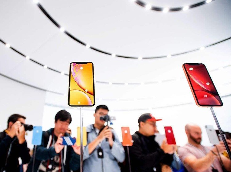 iPhone����è������������