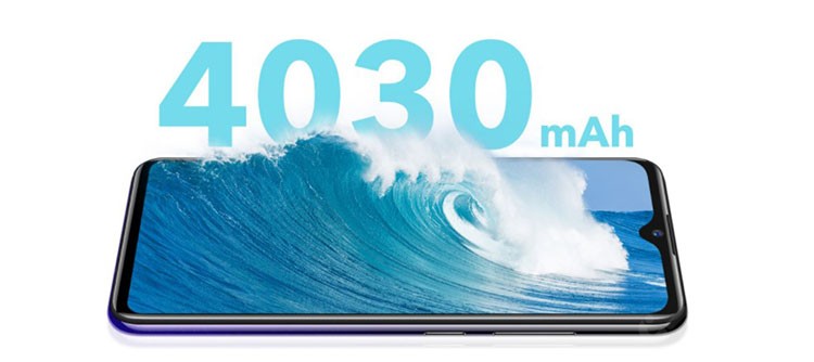 vivo