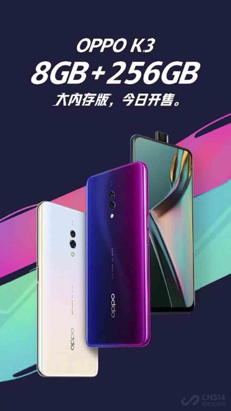 8GB+256GBOPPO
