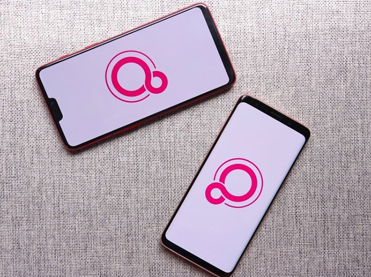 »ΪȸFuchsia OSվ