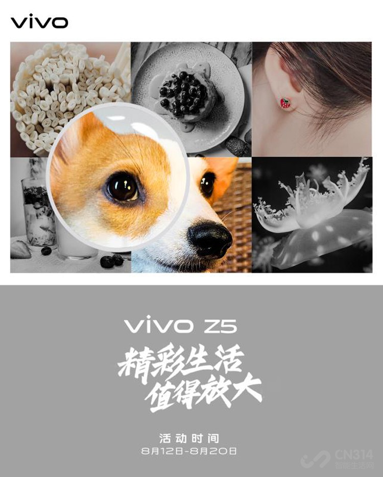Ѱ���������ã�vivo
