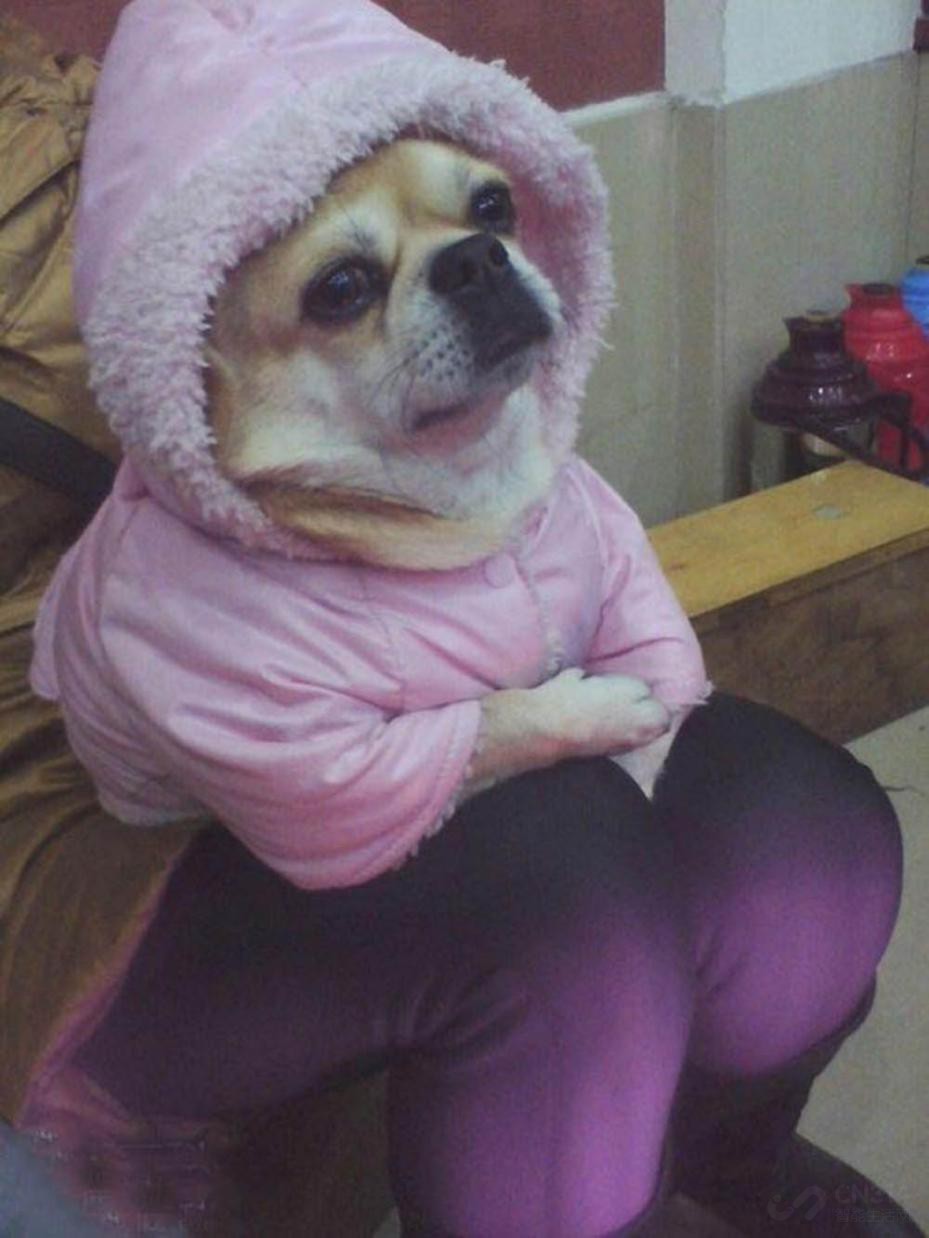 �Ƽ������������� �ﶬ���ʴ�����������