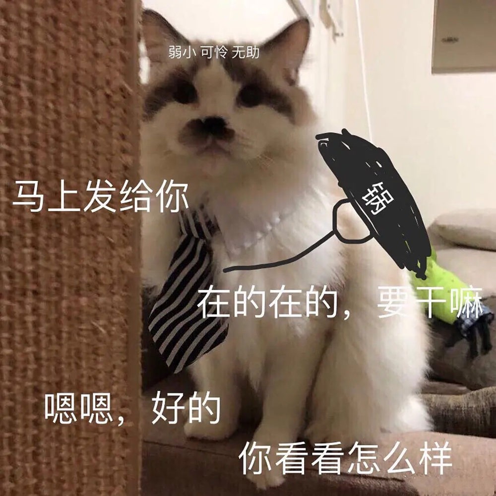 写给白领社畜 冬天这样穿风度、温度共存 写给白领社畜 冬天这样穿风度、温度共存