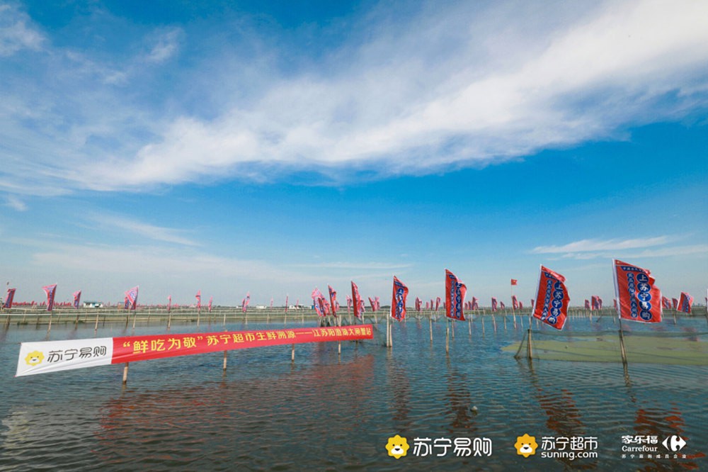 苏宁联手平安打造“保险蟹” 这次不怕买错 苏宁联手平安打造“保险蟹” 这次不怕买错