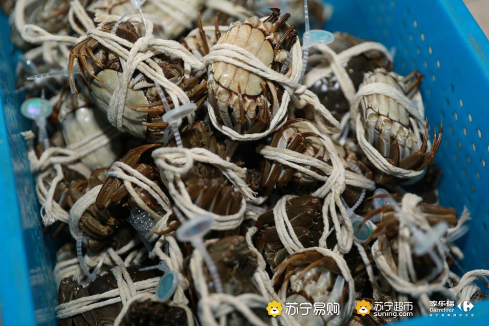 ����ֱ��+ȫ������ ��������Ժô�բз