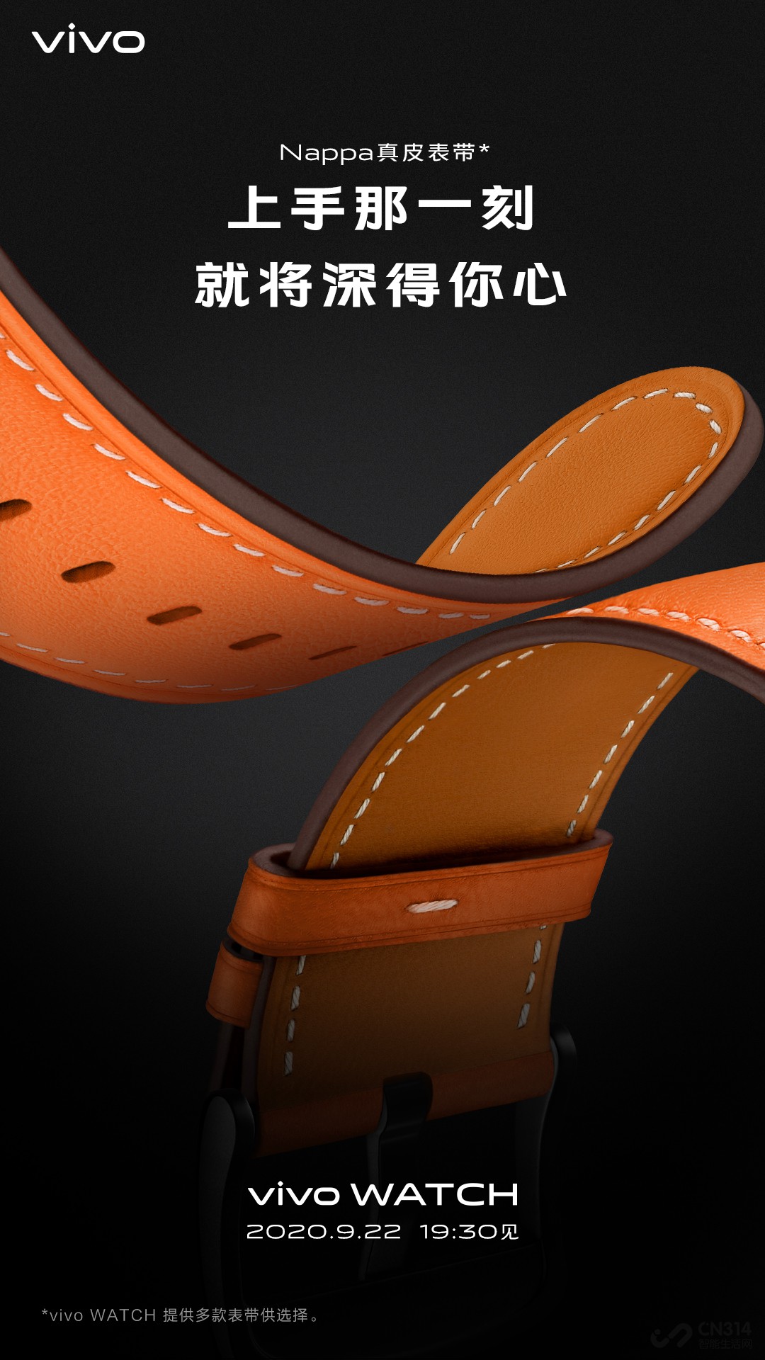 vivo WATCH���䱸����Ѫ��+���ʼ��