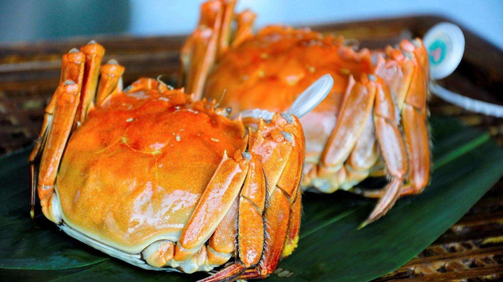 上苏宁易购买“保险蟹” 买假最高3倍赔偿 上苏宁易购买“保险蟹” 买假最高3倍赔偿