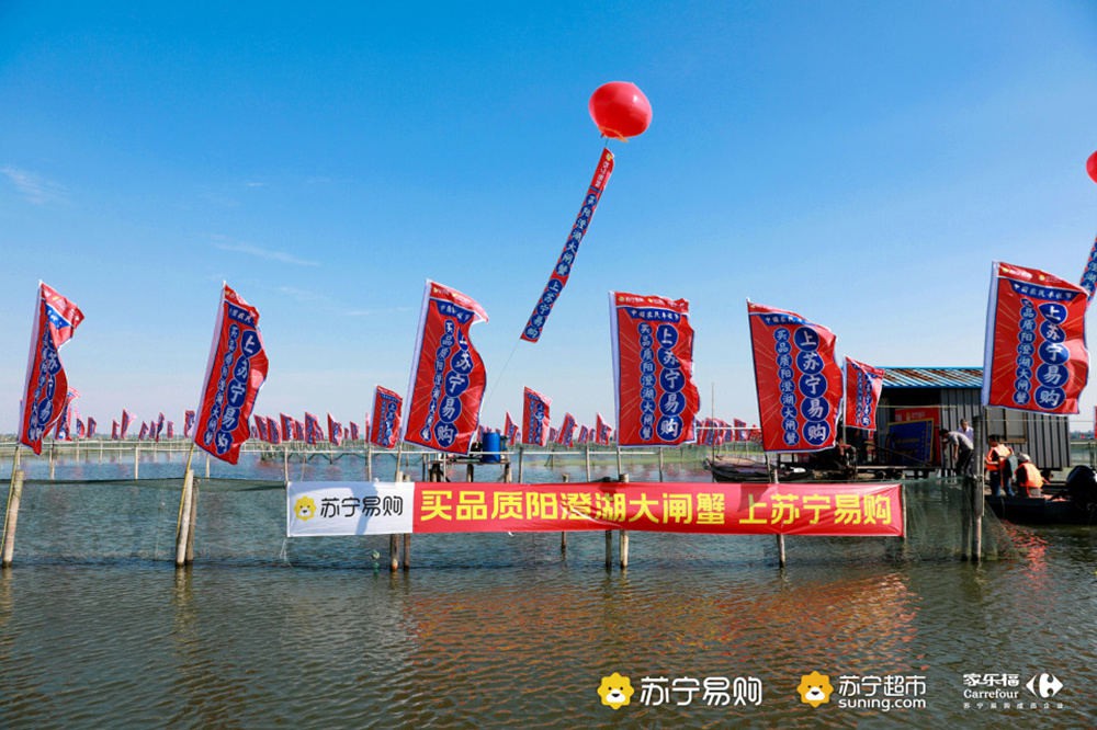 上苏宁易购买“保险蟹” 买假最高3倍赔偿 上苏宁易购买“保险蟹” 买假最高3倍赔偿