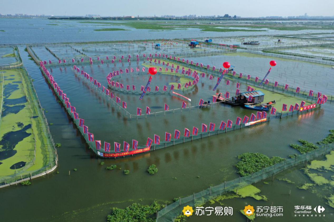 �����׹�Ϊ������ϸ�Ʒ�����κ���բз