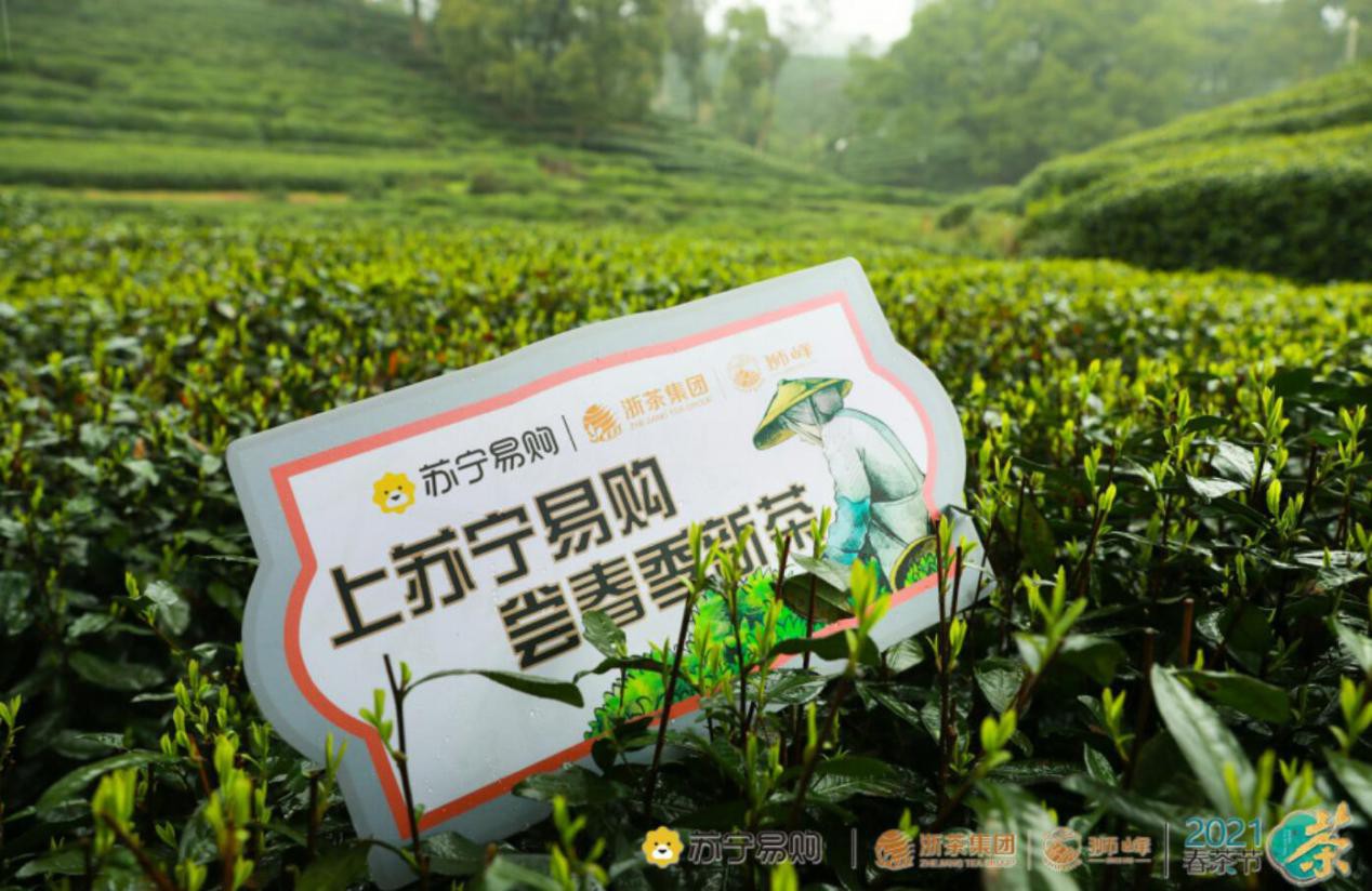 苏宁超市战略签约茶行业龙头浙茶集团啦! 苏宁超市战略签约茶行业龙头浙茶集团啦!
