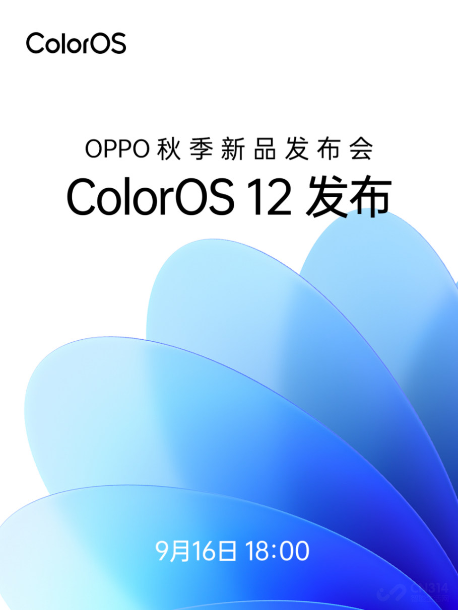 OPPO＾ƷὫ916ٿ