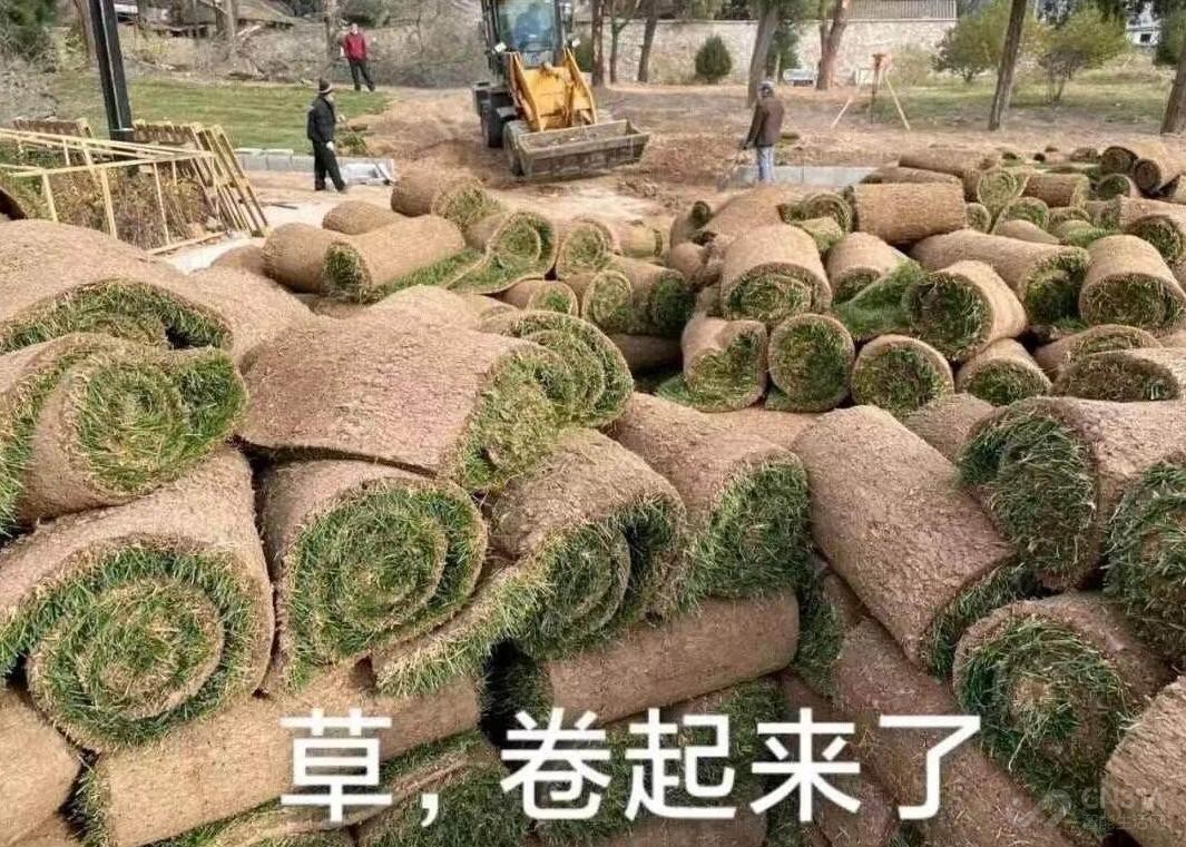 “3+2”混合办公，对打工人到底是喜是忧？