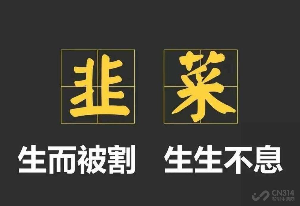 苹果为什么不出“韭菜绿iPhone”？我泪了