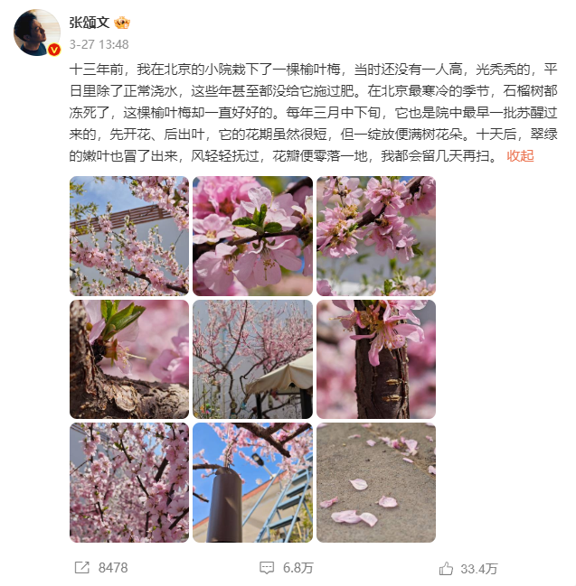 ҡǿ Сһߵúܾ
