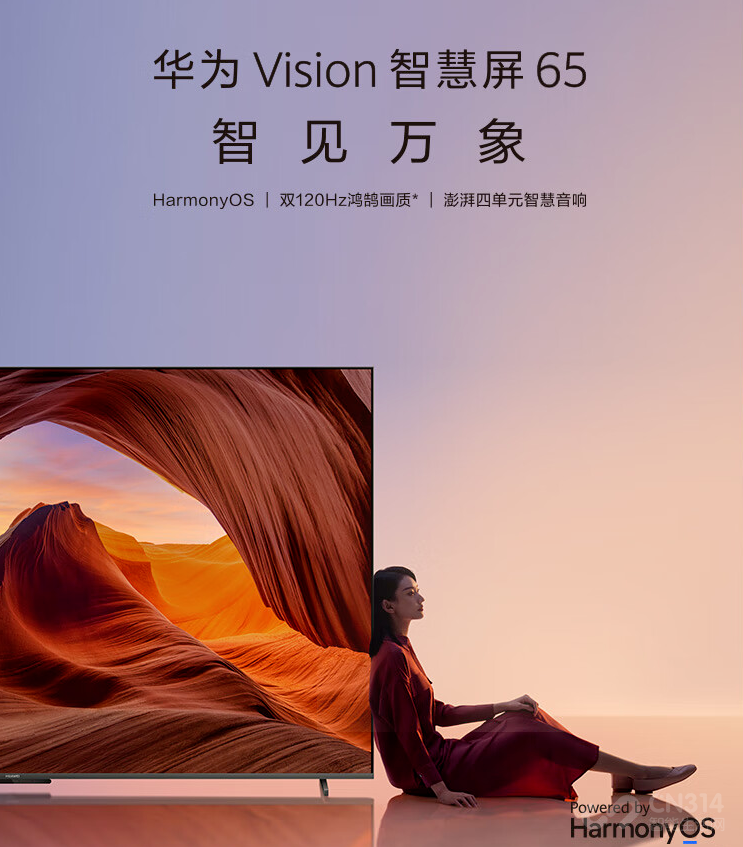 ڴVision Pro Ϊڹ