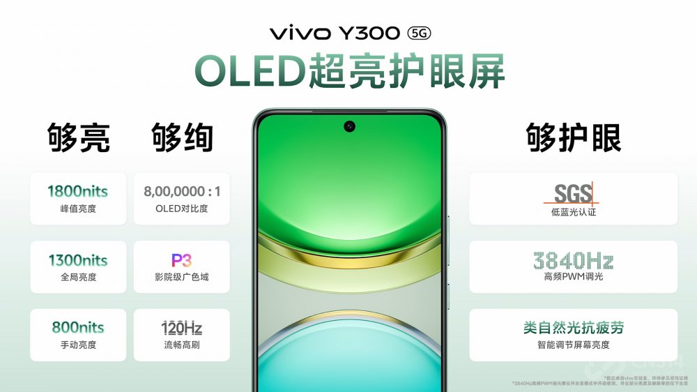 ǿ  ȫvivoY300ʽ