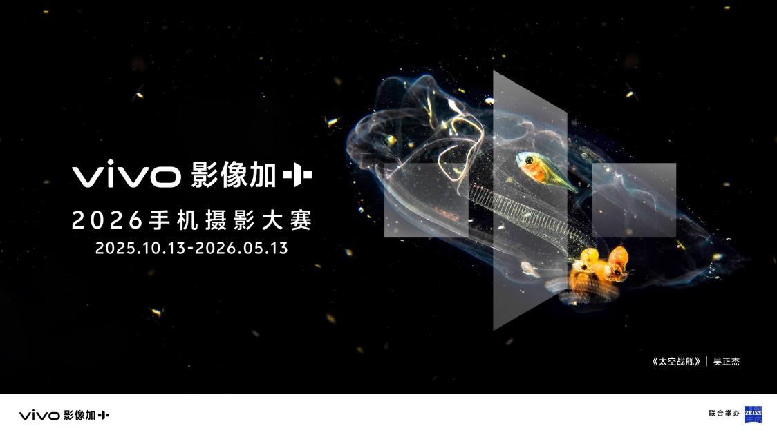 عƶӰ飬vivo X300ϵз