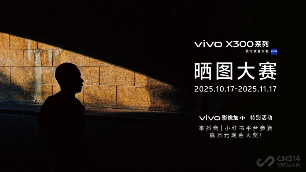 عƶӰ飬vivo X300ϵз