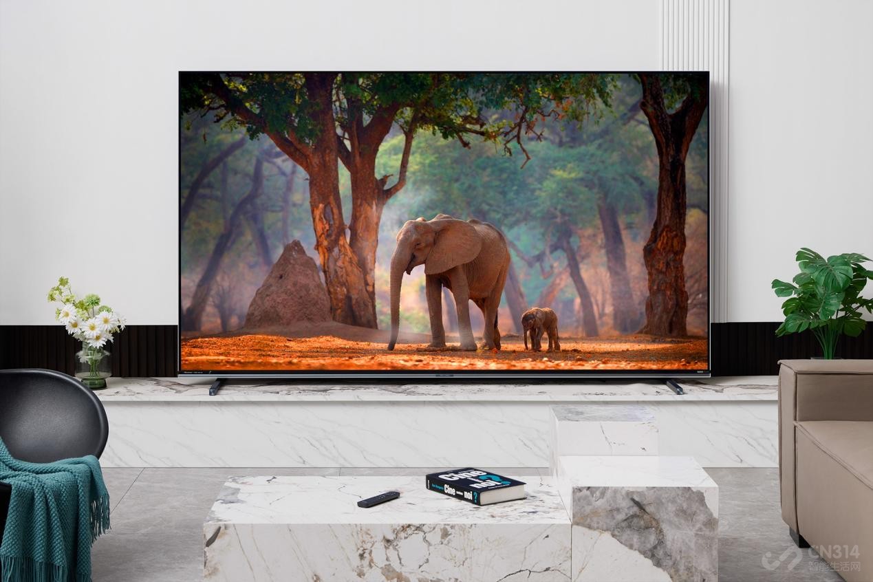 海信电视问鼎双11电视市场 夺下双冠王! 海信电视问鼎双11电视市场 夺下双冠王!