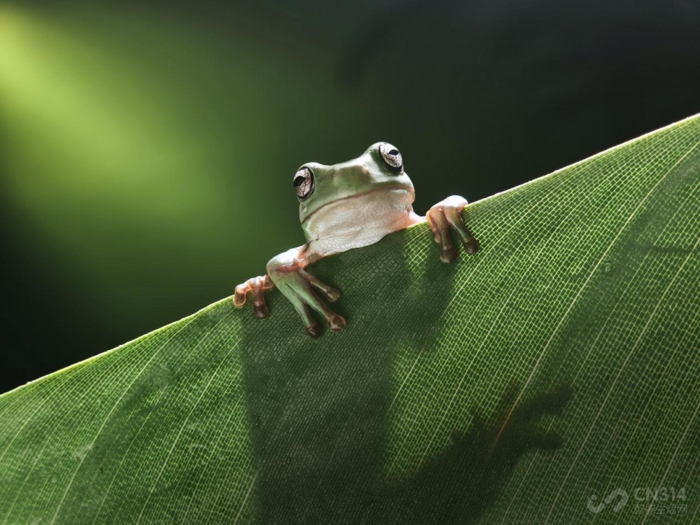 全球最平整折叠手机OPPO Find N6全球发布 全球最平整折叠手机OPPO Find N6全球发布