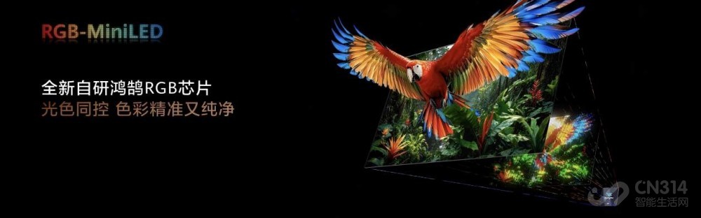 ��ΪVision�ǻ��� 6 SE RGB 3599Ԫ�� ����