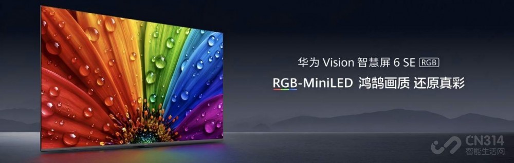 ��ΪVision�ǻ��� 6 SE RGB 3599Ԫ�� ����