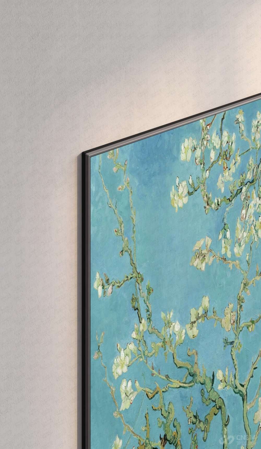 TCL Q9M Art �Ա�ֽ��ѧڹ��SQD�ھ����� 