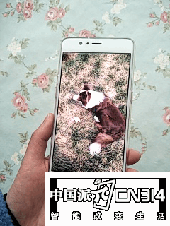 3.gif