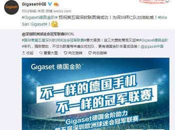 GigasetŷԻھ