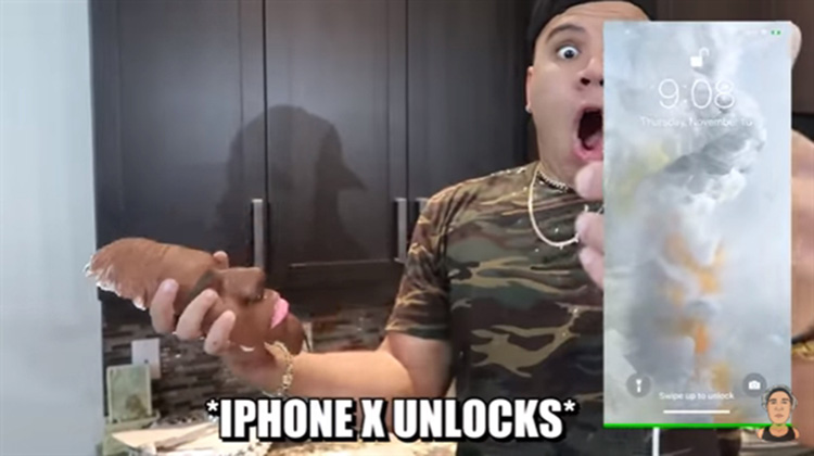 Face ID����˫��̥���� �沿ʶ���氲ȫ��