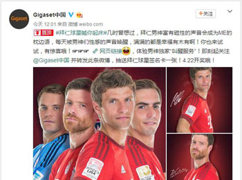 ϲж Gigaset׻ưʶƻ