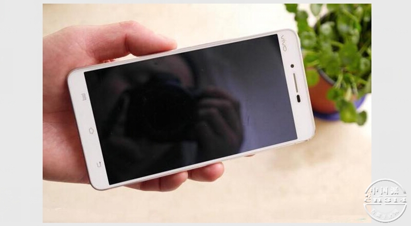 vivo�»�1.jpg