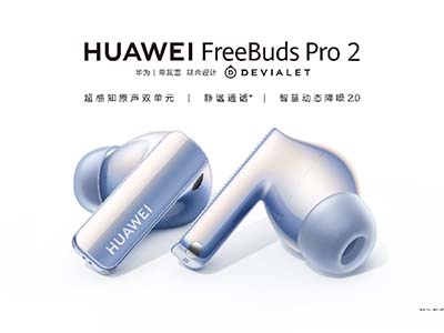 ԭ HUAWEI FreeBudsPro 2