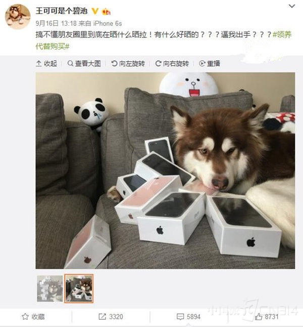 图片2.png