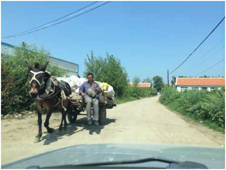 ͼ1.jpg