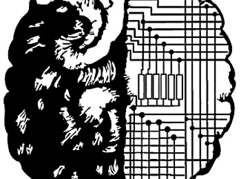 IBMģоƬ ʹֻʶ