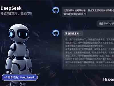 ŵӽDeepSeek 壡