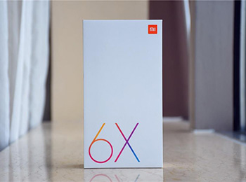 ȱżС8 С6Xܽ