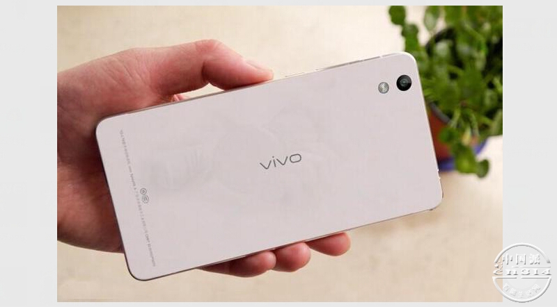 vivo�»�3.jpg