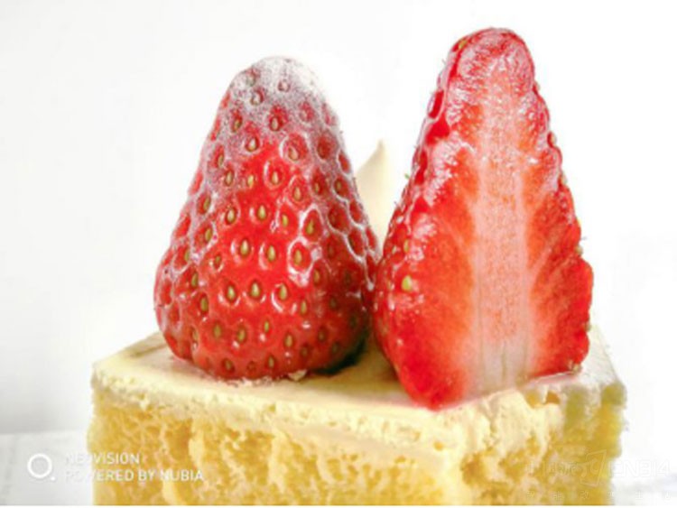 ֻӰڿƼ̵ ѹŬһ