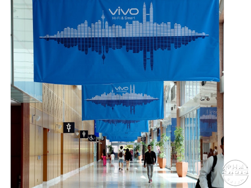 vivo3.111jpg.jpg