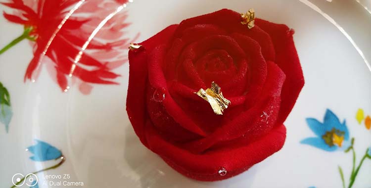 谁说千元机不能拍照?联想Z5手机摄影论