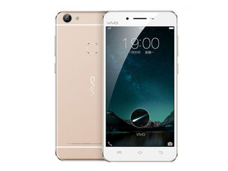 vivo.jpg