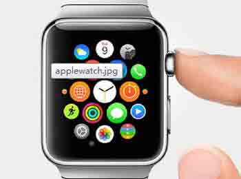Apple Watch  ѹǳ